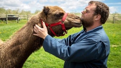 Assistir Clínica Animal com Dr. Pol Temporada 10 Episódio 5 Online em HD