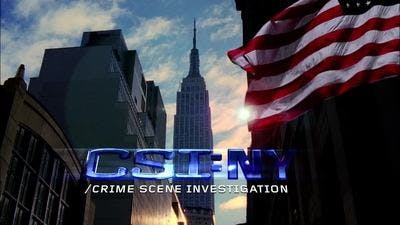 Assistir CSI: Nova York Temporada 7 Episódio 3 Online em HD