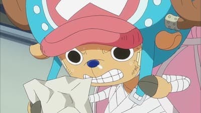 Assistir One Piece Temporada 15 Episódio 605 Online em HD