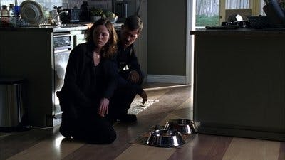 Assistir CSI: Investigação Criminal Temporada 6 Episódio 9 Online em HD