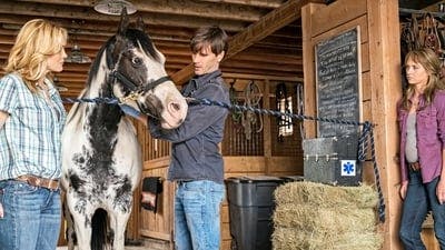 Assistir Heartland Temporada 10 Episódio 4 Online em HD