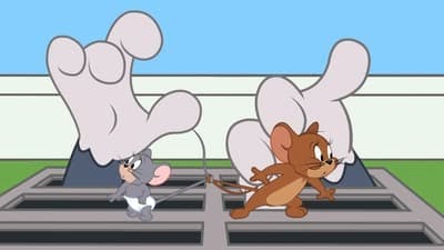 Assistir O Show de Tom e Jerry Temporada 2 Episódio 34 Online em HD