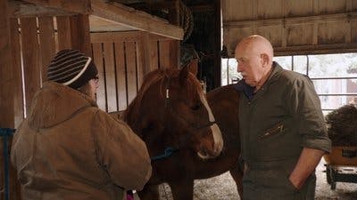 Assistir Clínica Animal com Dr. Pol Temporada 23 Episódio 10 Online em HD