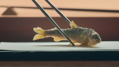 Assistir Na Rota do Taco Temporada 2 Episódio 7 Online em HD