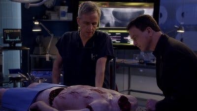 Assistir CSI: Nova York Temporada 8 Episódio 16 Online em HD