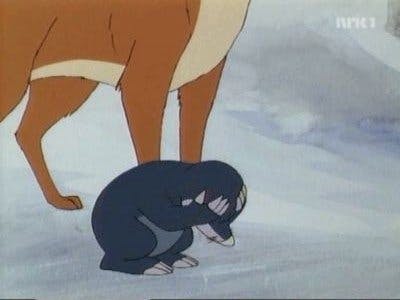 Assistir Animais do Bosque dos Vinténs Temporada 2 Episódio 2 Online em HD