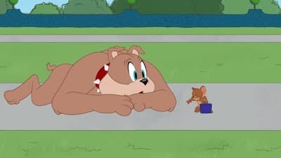 Assistir O Show de Tom e Jerry Temporada 2 Episódio 31 Online em HD