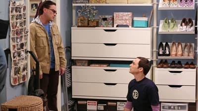 Assistir Big Bang: A Teoria Temporada 6 Episódio 19 Online em HD