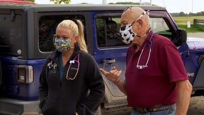 Assistir Clínica Animal com Dr. Pol Temporada 19 Episódio 4 Online em HD