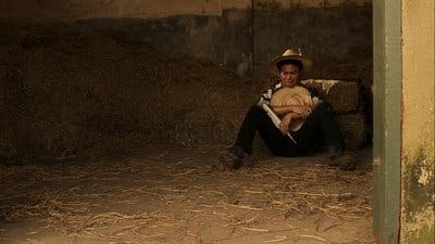 Assistir Pantanal Temporada 1 Episódio 165 Online em HD