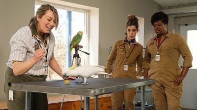 Assistir Pretty Hard Cases Temporada 3 Episódio 2 Online em HD