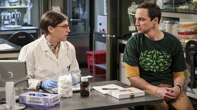 Assistir Big Bang: A Teoria Temporada 10 Episódio 8 Online em HD