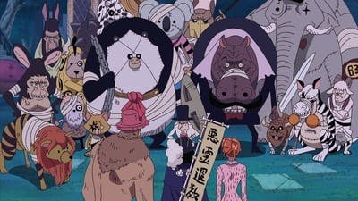 Assistir One Piece Temporada 10 Episódio 345 Online em HD