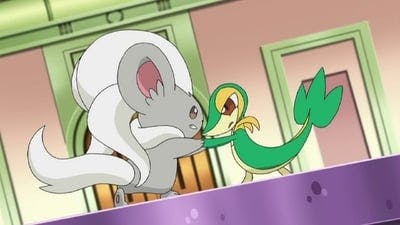 Assistir Pokémon Temporada 16 Episódio 1 Online em HD