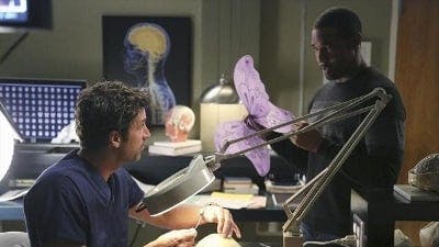 Assistir Grey’s Anatomy Temporada 10 Episódio 7 Online em HD