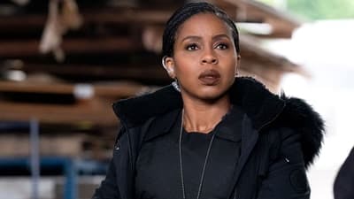 Assistir Law & Order: Crime Organizado Temporada 3 Episódio 7 Online em HD