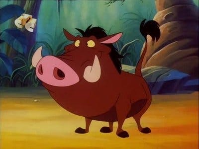 Assistir Timão e Pumba Temporada 1 Episódio 23 Online em HD
