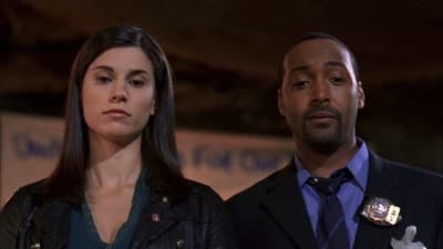 Assistir Lei & Ordem Temporada 17 Episódio 4 Online em HD