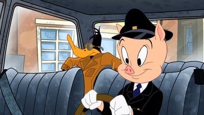 Assistir O Show dos Looney Tunes Temporada 1 Episódio 19 Online em HD