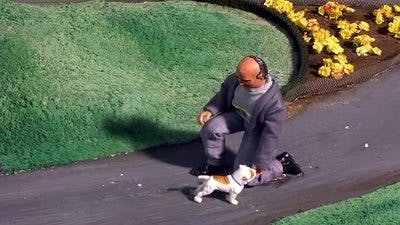 Assistir Frango Robô Temporada 1 Episódio 13 Online em HD