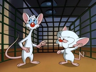 Assistir Pinky e o Cérebro Temporada 2 Episódio 13 Online em HD
