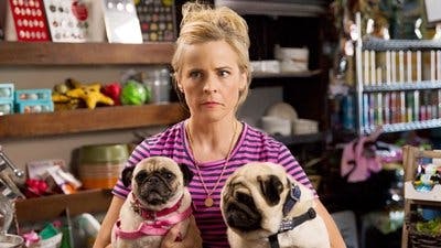 Assistir Lady Dynamite Temporada 1 Episódio 4 Online em HD