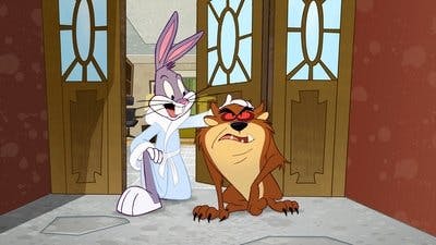 Assistir O Show dos Looney Tunes Temporada 1 Episódio 8 Online em HD