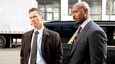 Assistir Lei & Ordem Temporada 22 Episódio 14 Online em HD