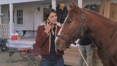 Assistir Gilmore Girls Temporada 4 Episódio 14 Online em HD