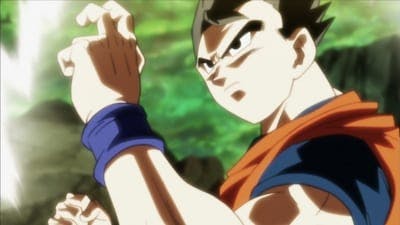 Assistir Dragon Ball Super Temporada 1 Episódio 120 Online em HD