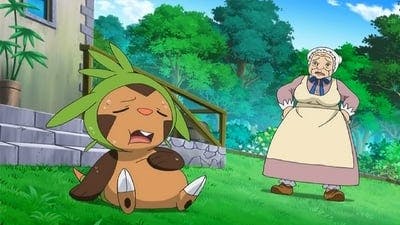 Assistir Pokémon Temporada 17 Episódio 15 Online em HD