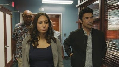 Assistir Havaí Cinco-0 Temporada 10 Episódio 7 Online em HD