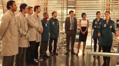 Assistir Bones Temporada 8 Episódio 6 Online em HD