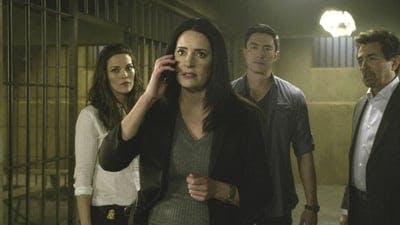 Assistir Mentes Criminosas Temporada 12 Episódio 13 Online em HD