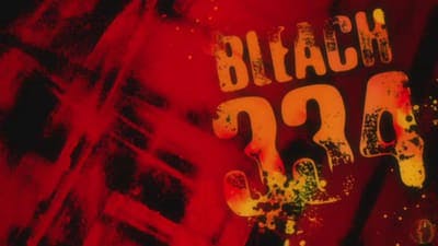 Assistir Bleach Temporada 1 Episódio 334 Online em HD