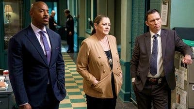Assistir Lei & Ordem Temporada 22 Episódio 18 Online em HD