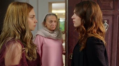 Assistir Cidade Cruel Temporada 2 Episódio 29 Online em HD