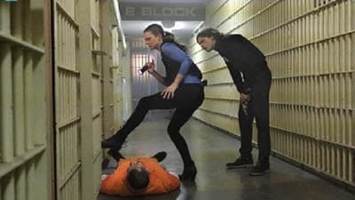 Assistir Mentes Criminosas Temporada 11 Episódio 22 Online em HD