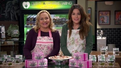 Assistir Disjointed Temporada 1 Episódio 9 Online em HD