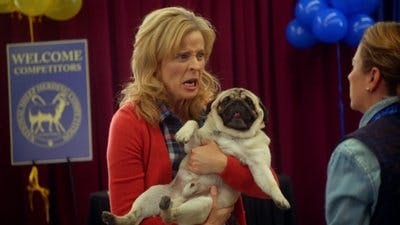 Assistir Lady Dynamite Temporada 1 Episódio 9 Online em HD