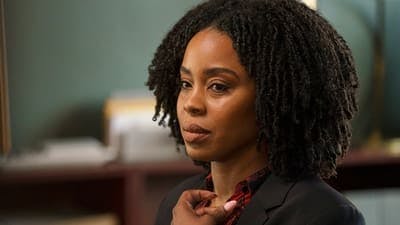 Assistir Law & Order: Crime Organizado Temporada 3 Episódio 17 Online em HD