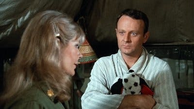Assistir M*A*S*H Temporada 2 Episódio 14 Online em HD