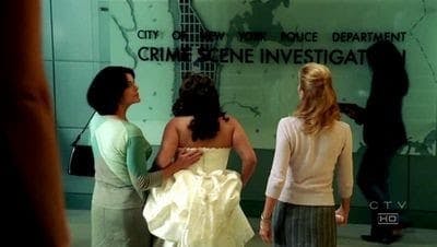 Assistir CSI: Nova York Temporada 2 Episódio 3 Online em HD