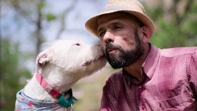 Assistir Dogs Temporada 1 Episódio 6 Online em HD