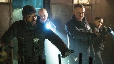 Assistir Chicago P.D.: Distrito 21 Temporada 7 Episódio 17 Online em HD