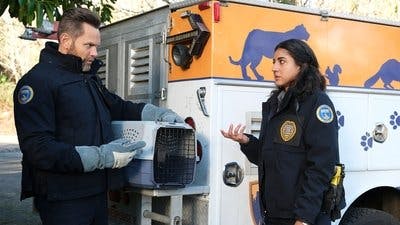 Assistir Animal Control Temporada 2 Episódio 4 Online em HD