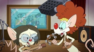 Assistir Animaniacs Temporada 2 Episódio 40 Online em HD
