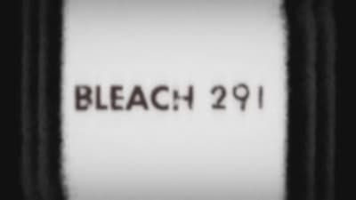 Assistir Bleach Temporada 1 Episódio 291 Online em HD