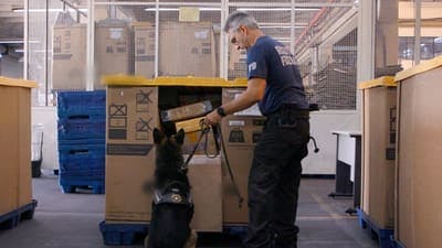 Assistir Airport Brazil: Restricted Areas Temporada 6 Episódio 5 Online em HD
