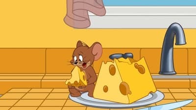 Assistir O Show de Tom e Jerry Temporada 2 Episódio 21 Online em HD